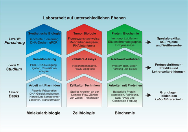 tl_files/biosciencelab/Laborarbeit-Ebenen-02-05-12-website.jpg