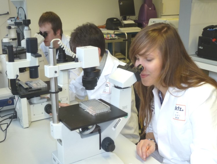 Teilnehmer eines Praktikums untersuchen Probem am Mikroskop.